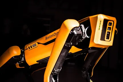 كازينو وين مليون لوتو تطبيق الهاتف المحمول